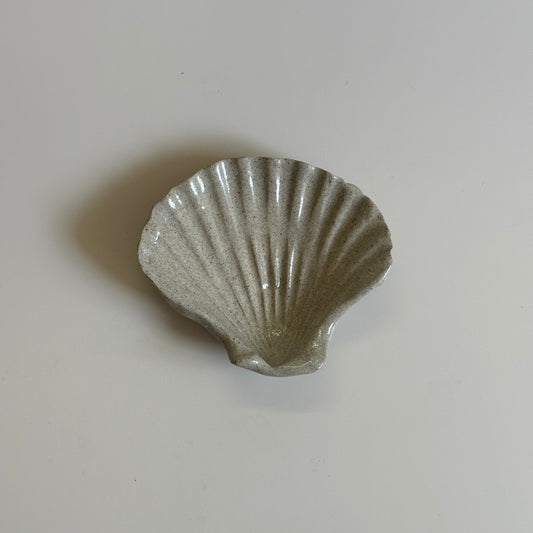 Tray ~ shell