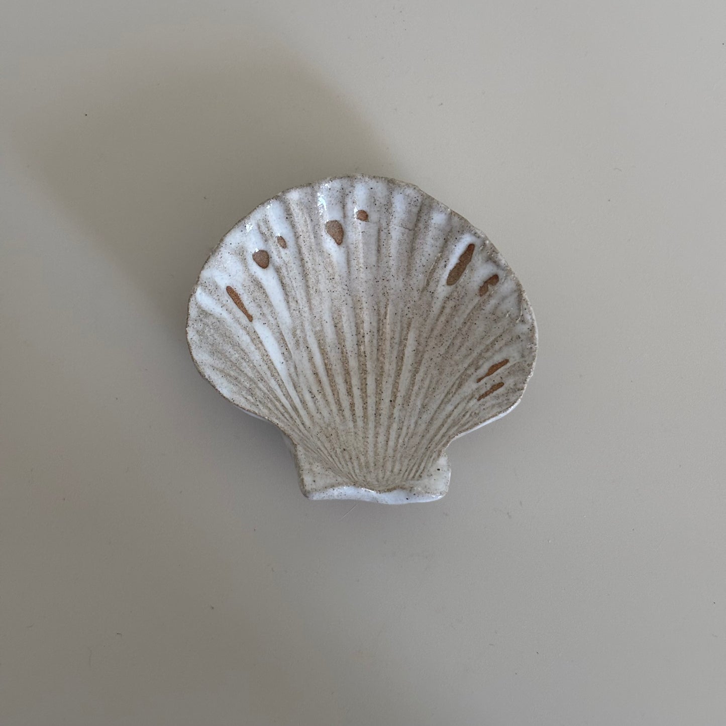 Tray ~ shell